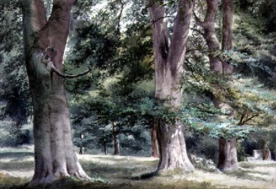 Studie van Beukenbomen door Thomas Collier