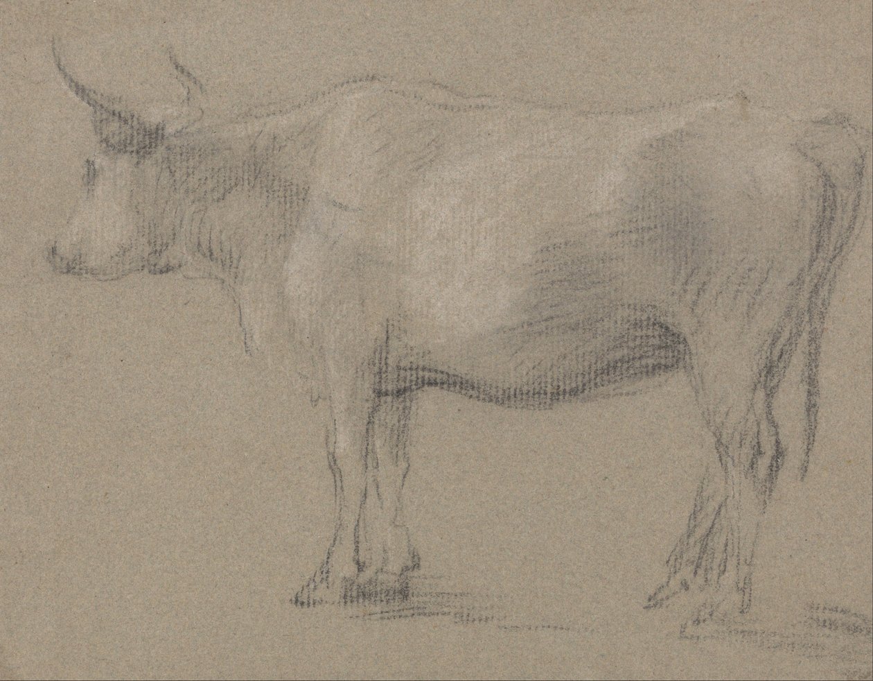 Studie van een koe door Thomas Gainsborough