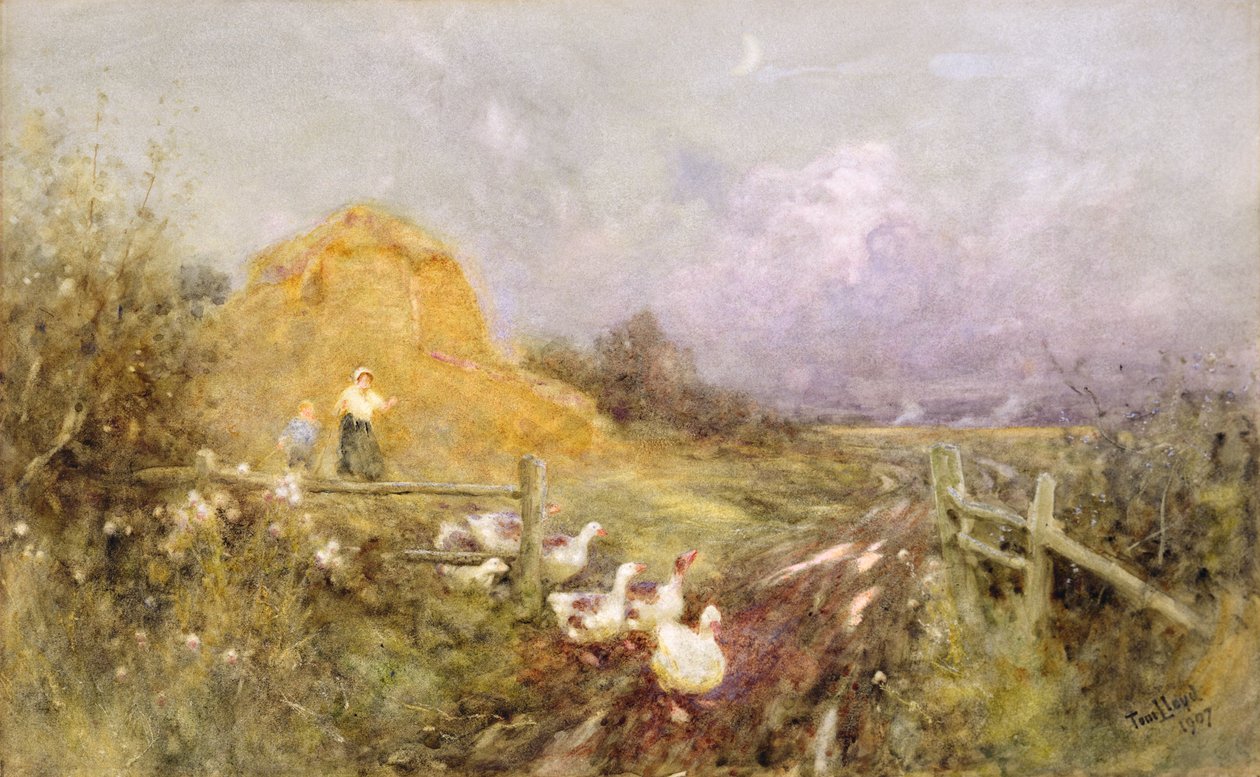 Ganzen drijven, vroege avond, 1907 door Thomas James Lloyd