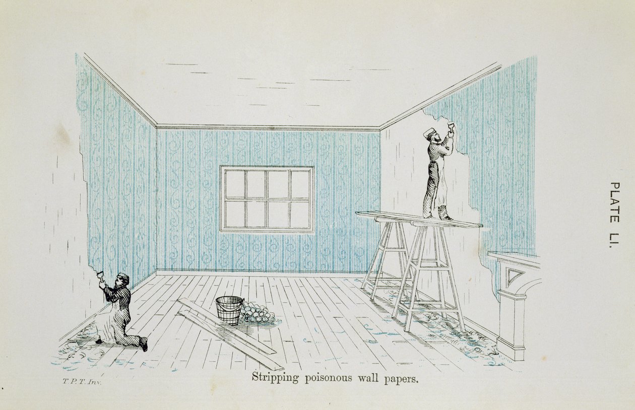 Verwijderen van giftig behang, illustratie uit Dangers to Health: A Pictorial Guide to Domestic Sanitary Effects, gepubliceerd 1897 door Thomas Pridgin Teale