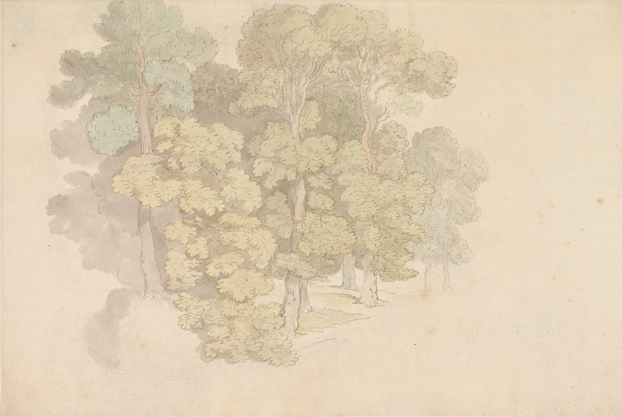 Een groep bomen door Thomas Rowlandson