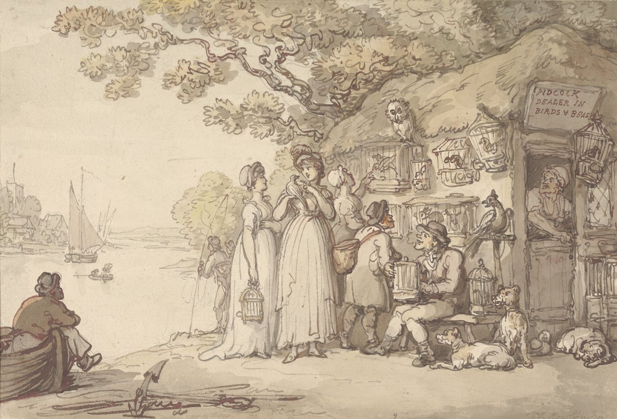 Pidcock, Handelaar in Vogels en Beesten door Thomas Rowlandson