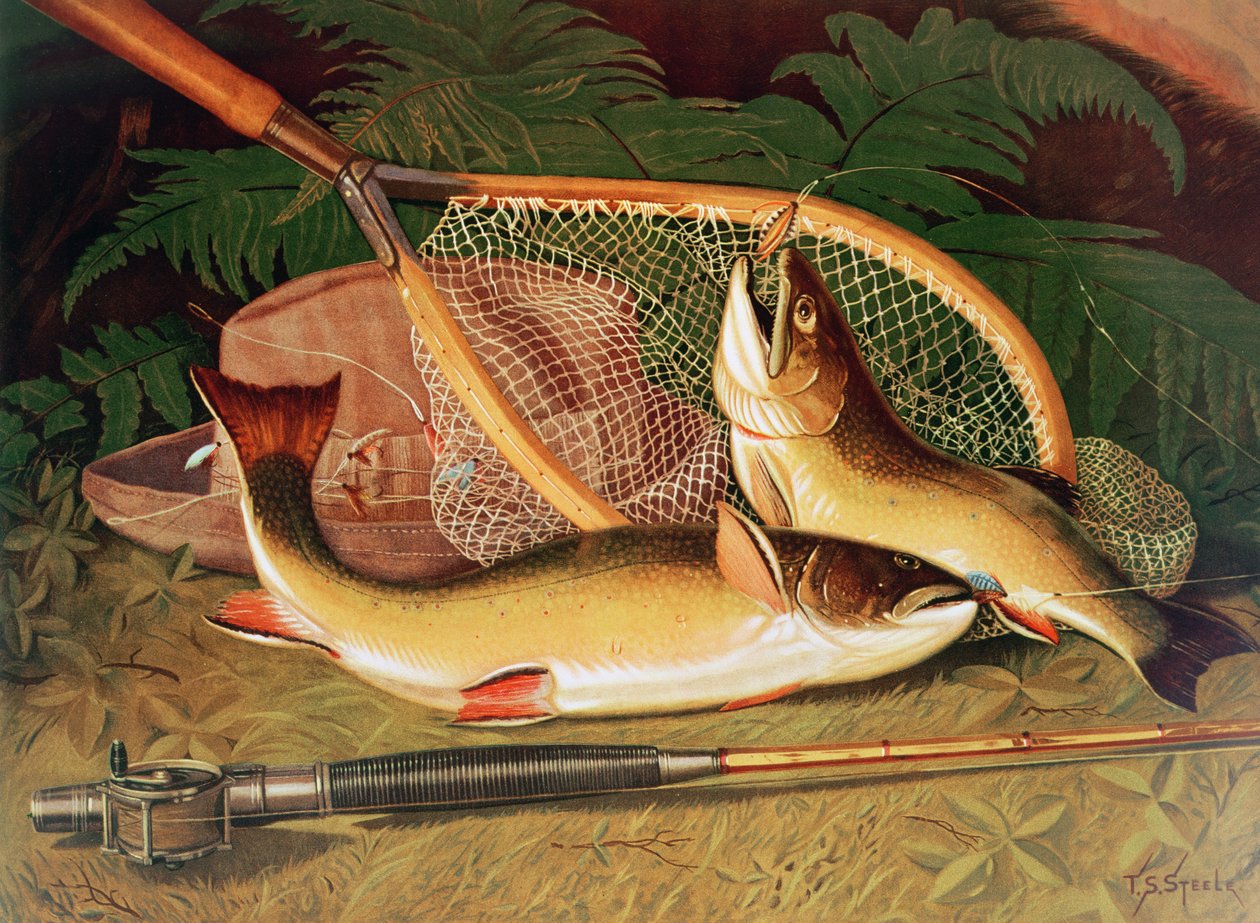 Stilleven met een zalmforel, een hengel en een net door Thomas Sedgwick Steele