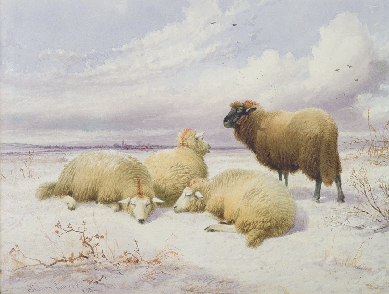 Schapen in de Sneeuw door Thomas Sidney Cooper