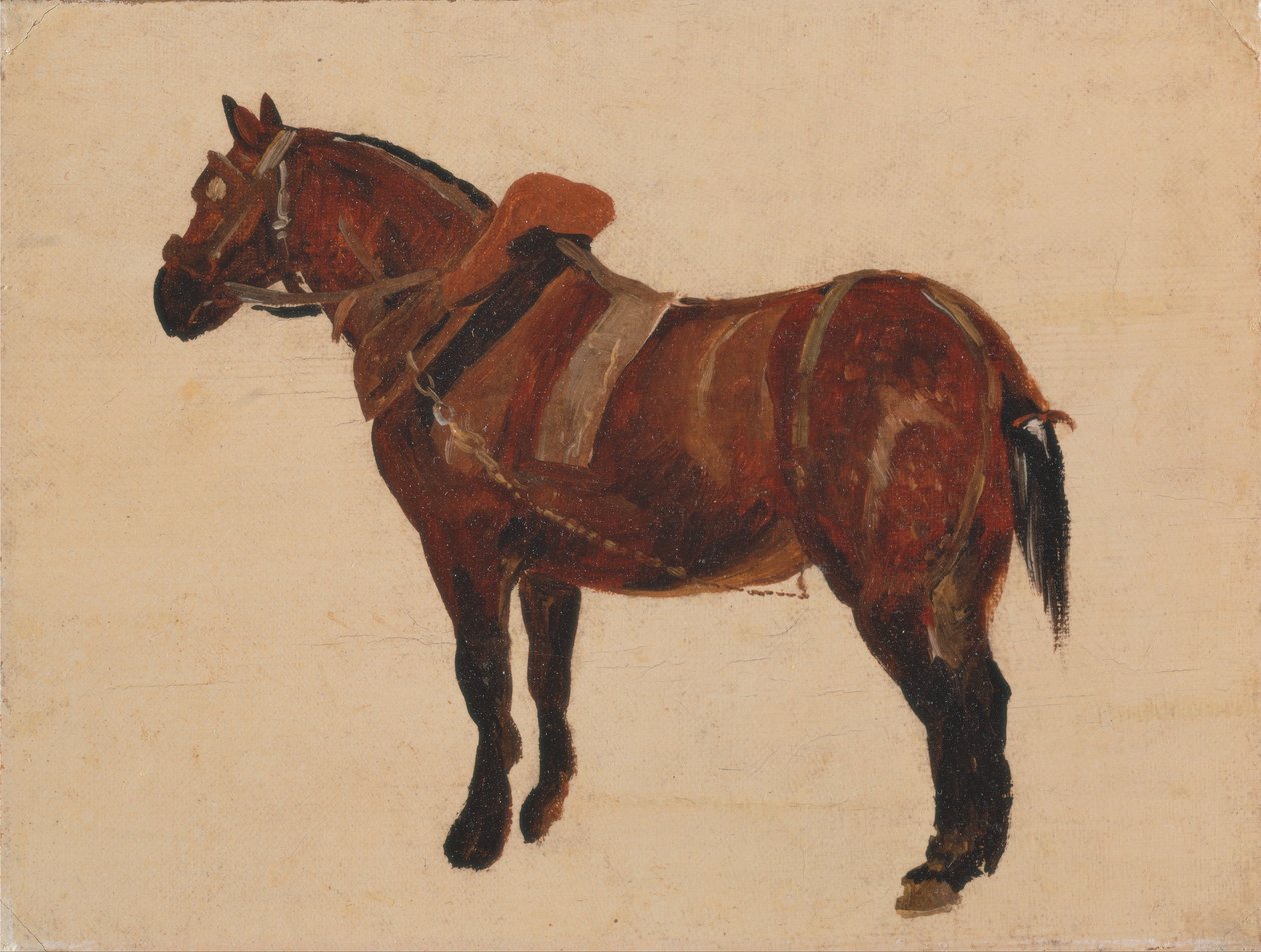 Studie van een werkpaard door Thomas Sidney Cooper