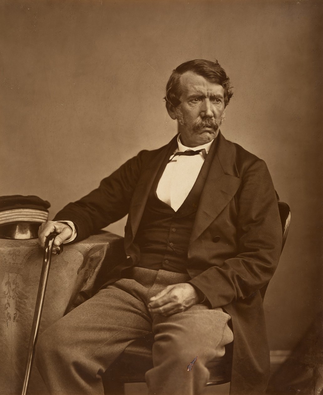 David Livingstone door Thomas Annan - Origineel door Thomas Annan