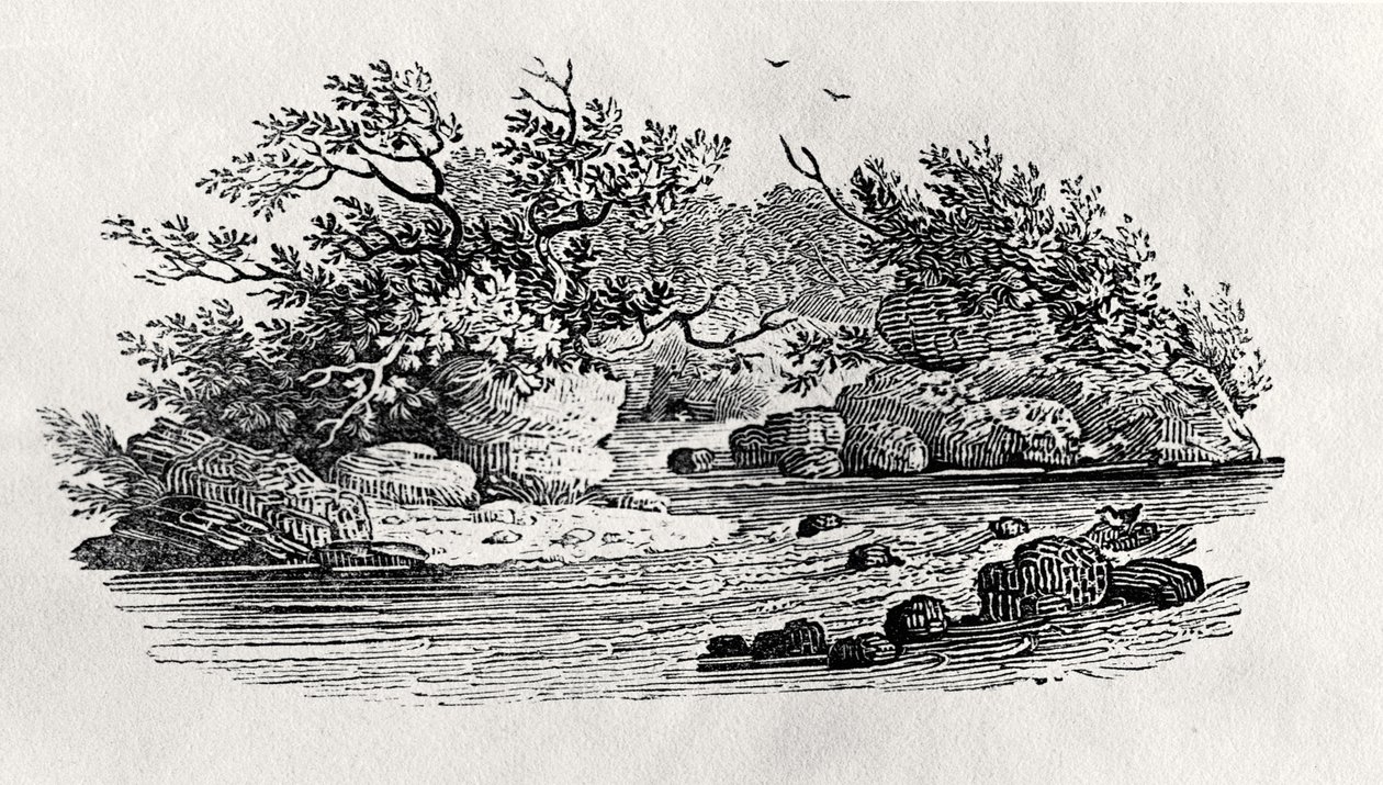 Een bocht in de rivier, uit 
