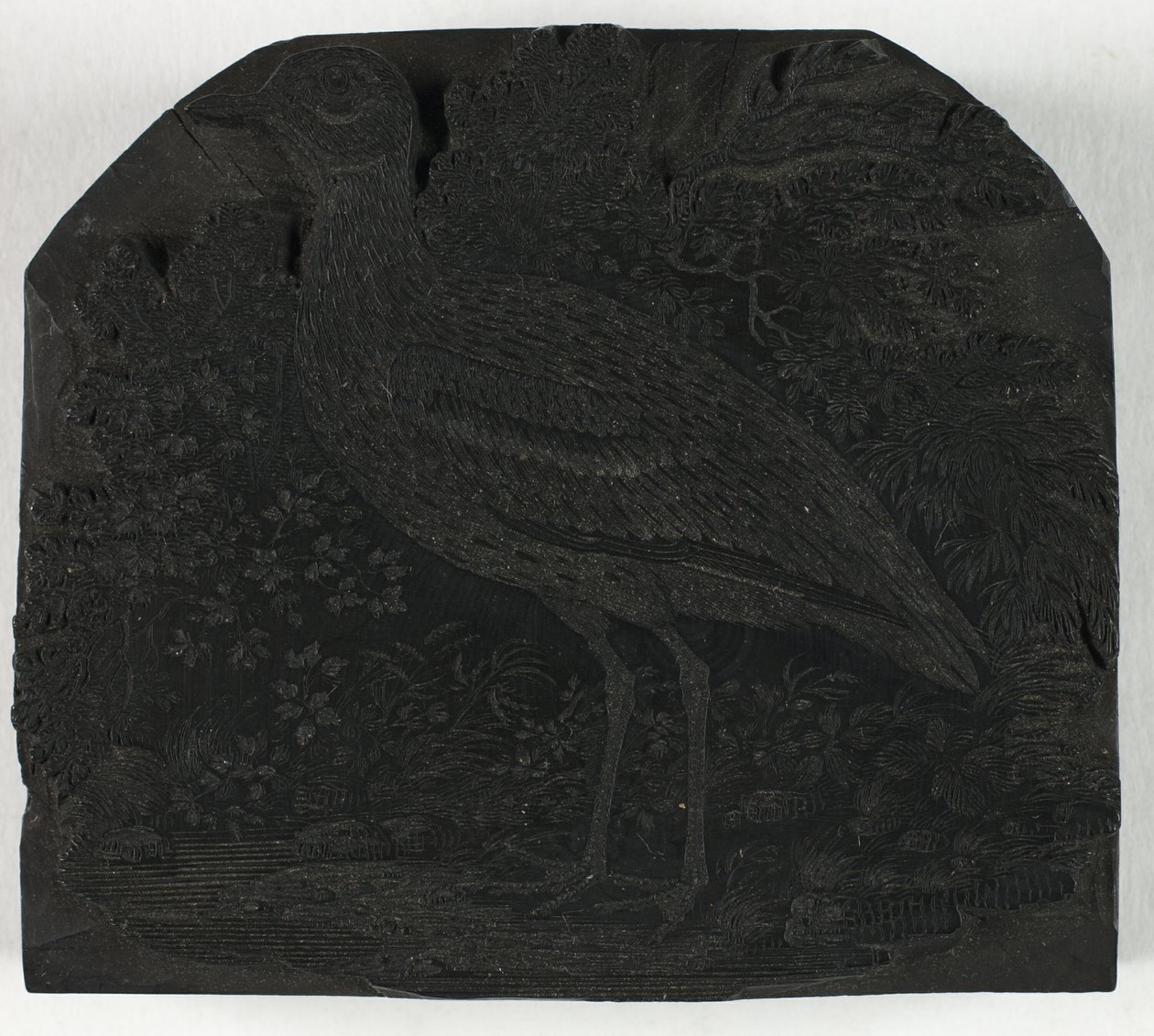 Houtsnede voor De Grote Plevier, uit Een Geschiedenis van Britse Vogels door Thomas Bewick