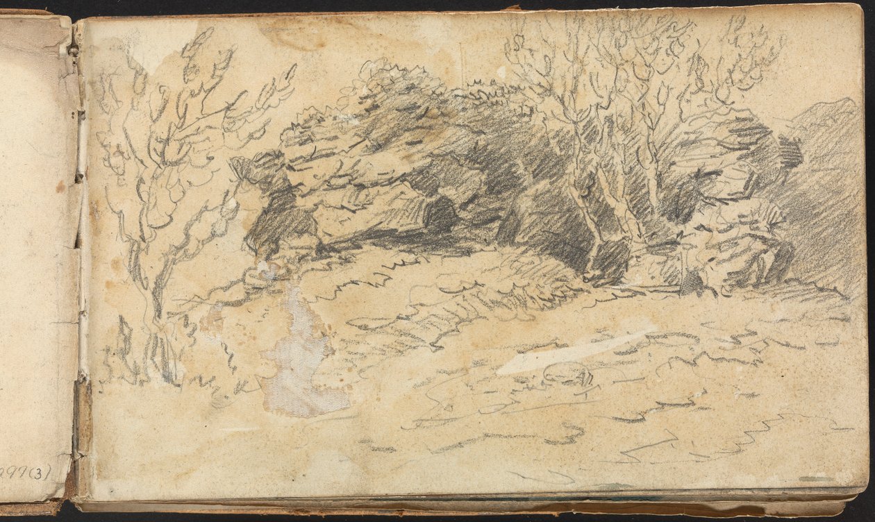 Album van Landschap- en Figurenstudies: Schets van Bomen en Rotsen door Thomas Bradshaw