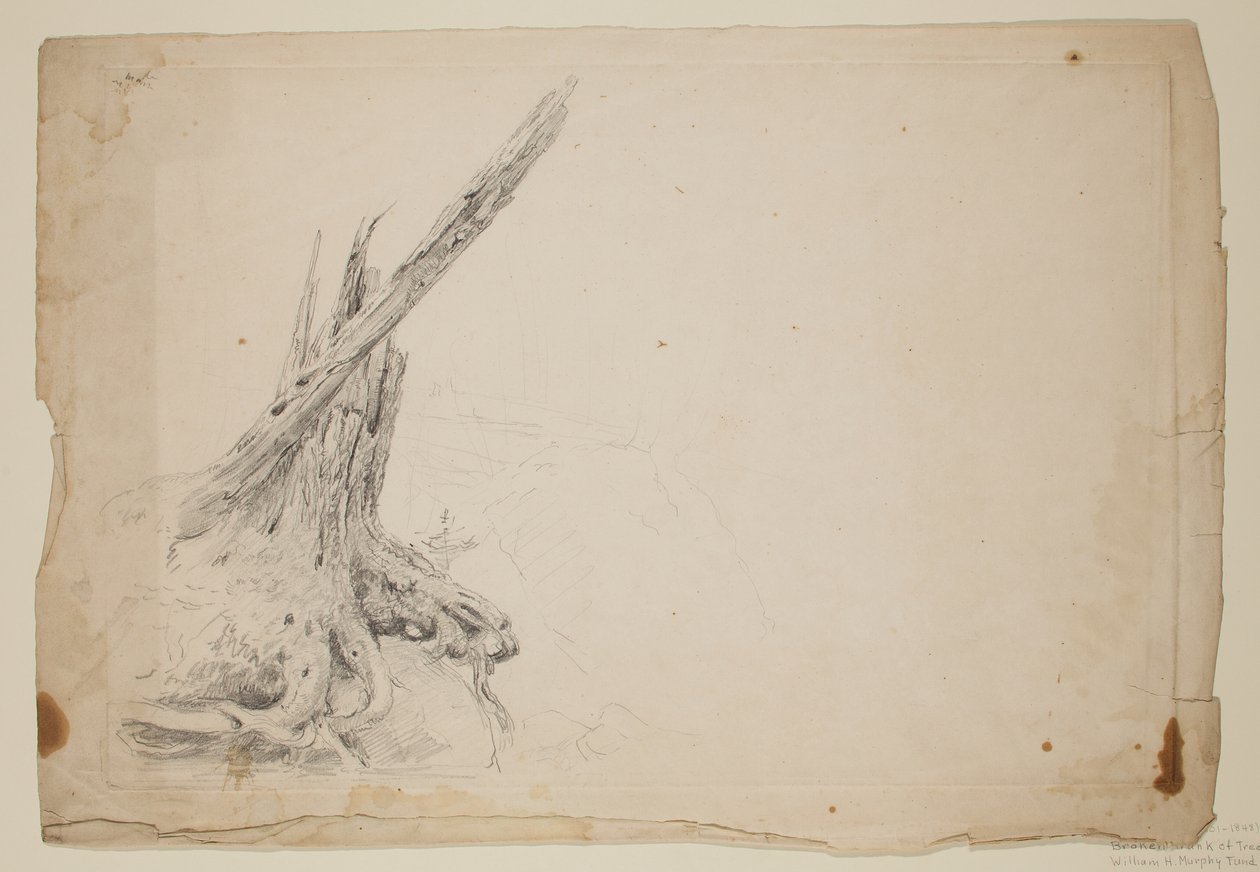 Gebroken stam van een boom door Thomas Cole