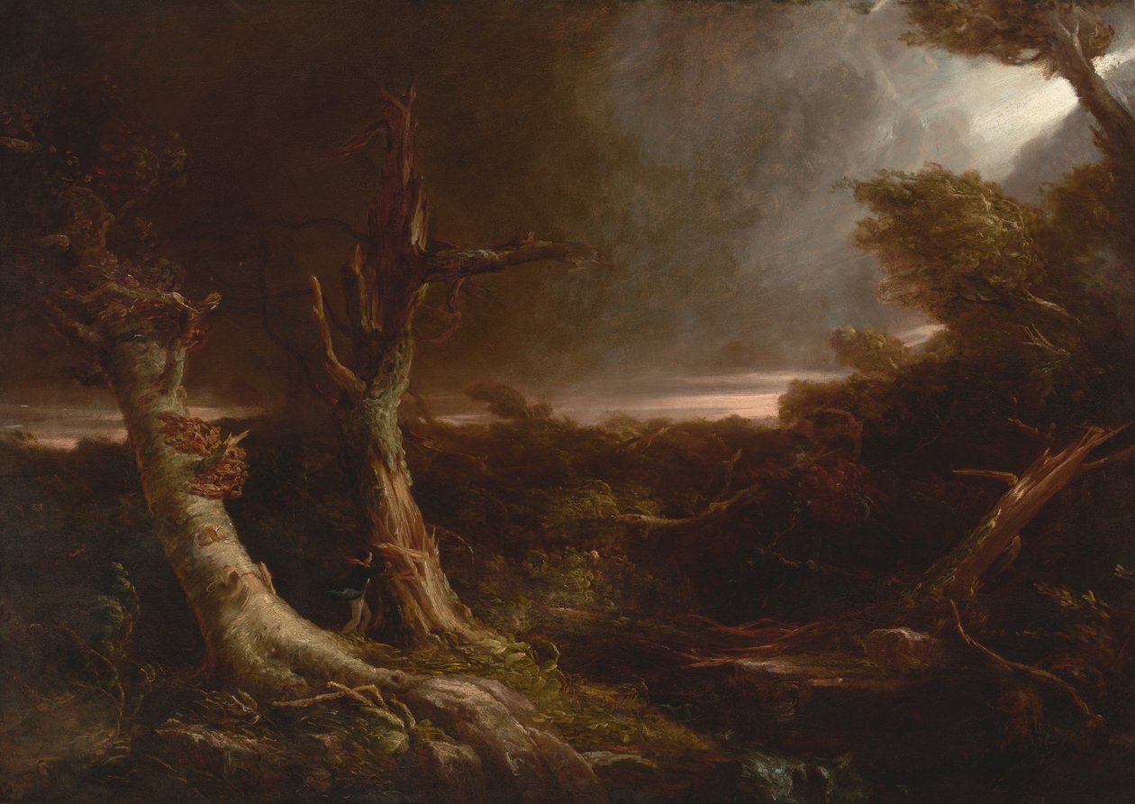 Tornado in een Amerikaans bos door Thomas Cole