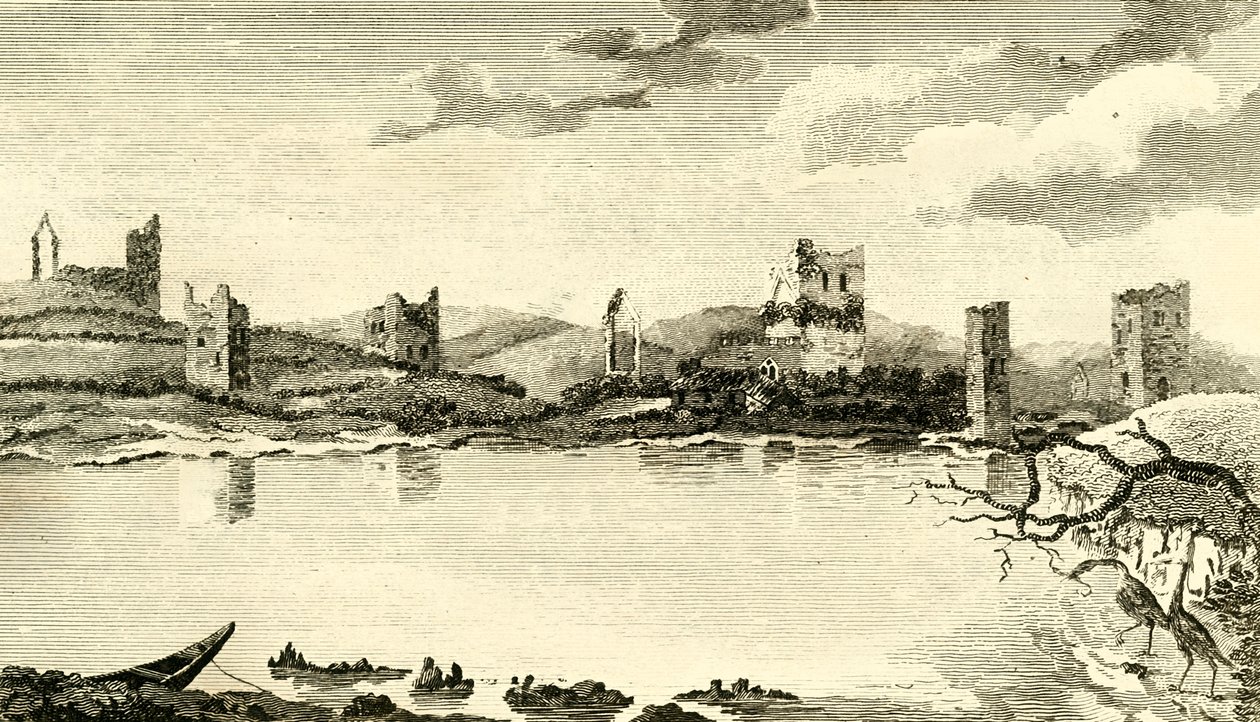 Noordelijk uitzicht op de ruïnes van Clomines, Co. Wexford door Thomas Cook