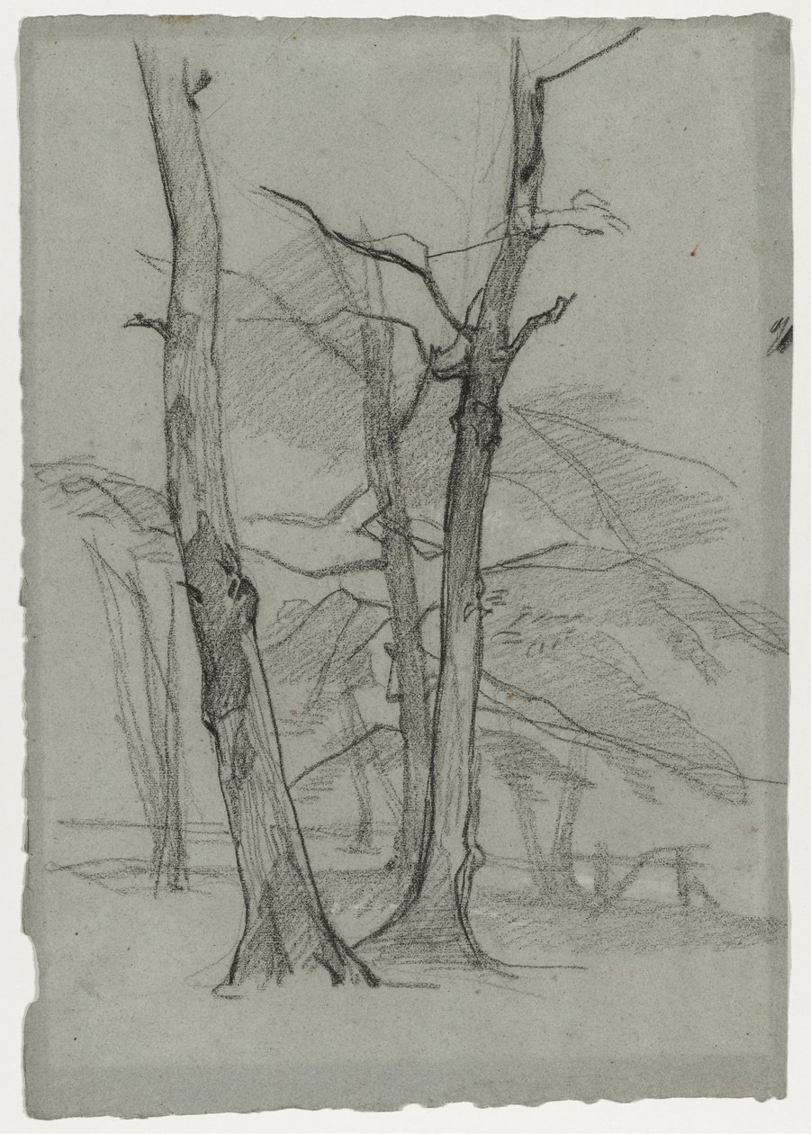 Landschapsstudie met Bomen door Thomas Couture