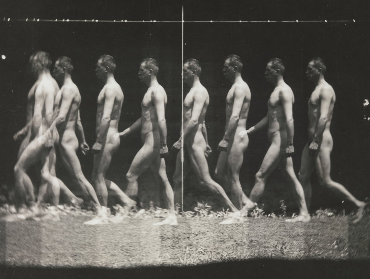 [Man Wandelt, Stroboscopische Fotografie], 1880s, gedrukt 1930s-40s door Thomas Eakins