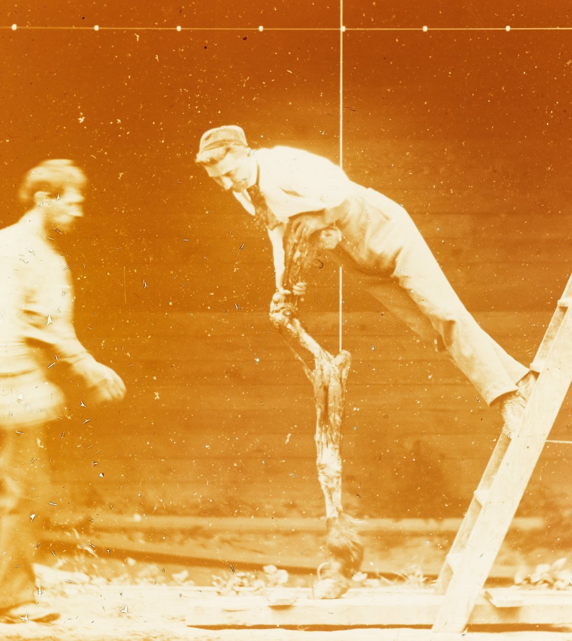 [Studie der Muskelaktion: Junger Mann lehnt an einem Pferdebein] door Thomas Eakins