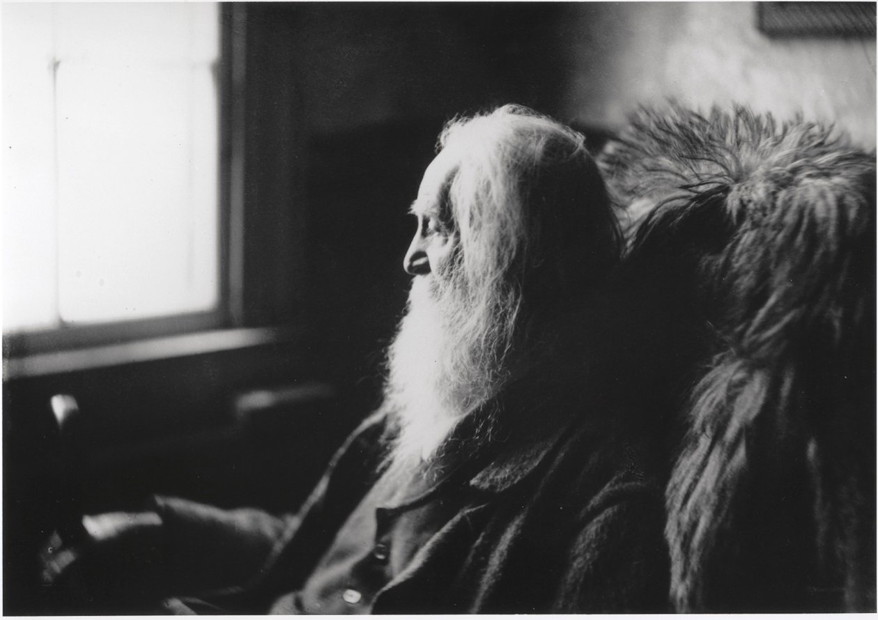 Walt Whitman in Camden, New Jersey door Thomas Eakins