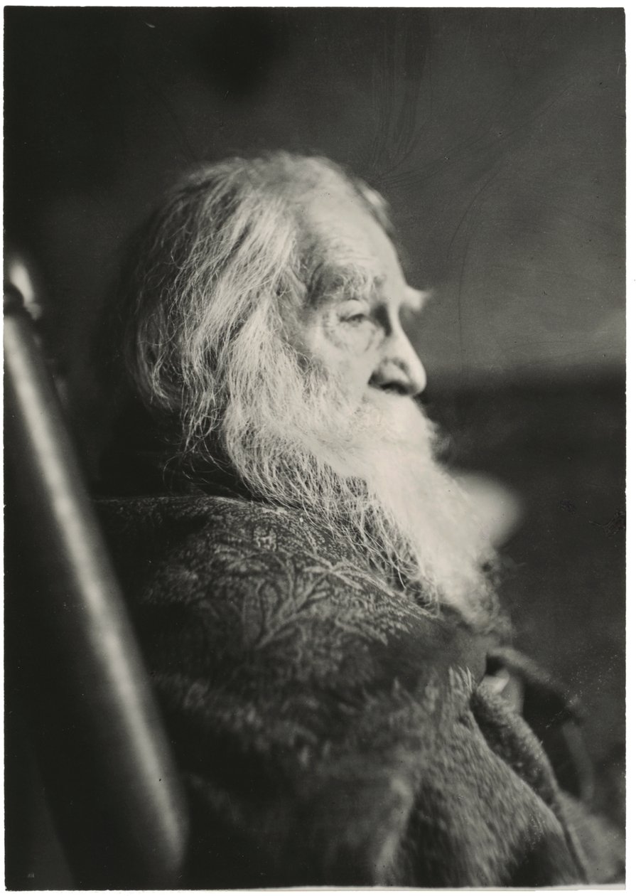 Walt Whitman in Camden, New Jersey door Thomas Eakins