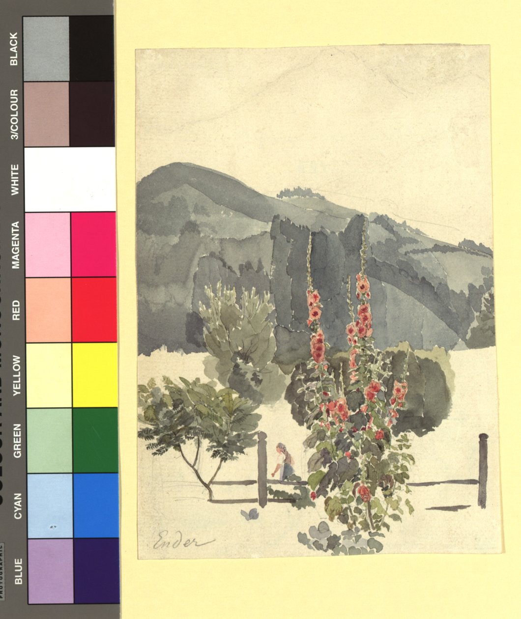 Studie (Landschaft mit Pappelrosen) door Thomas Ender