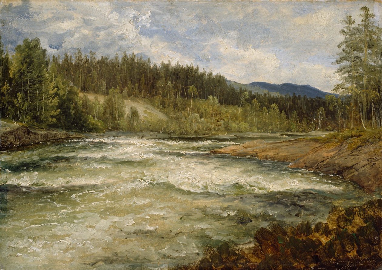 Vanaf Labrofossen door Thomas Fearnley