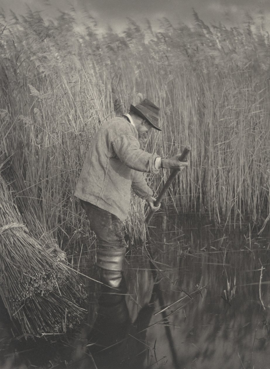 Een rietsnijder aan het werk,1886 (foto) door Thomas Frederick Goodall