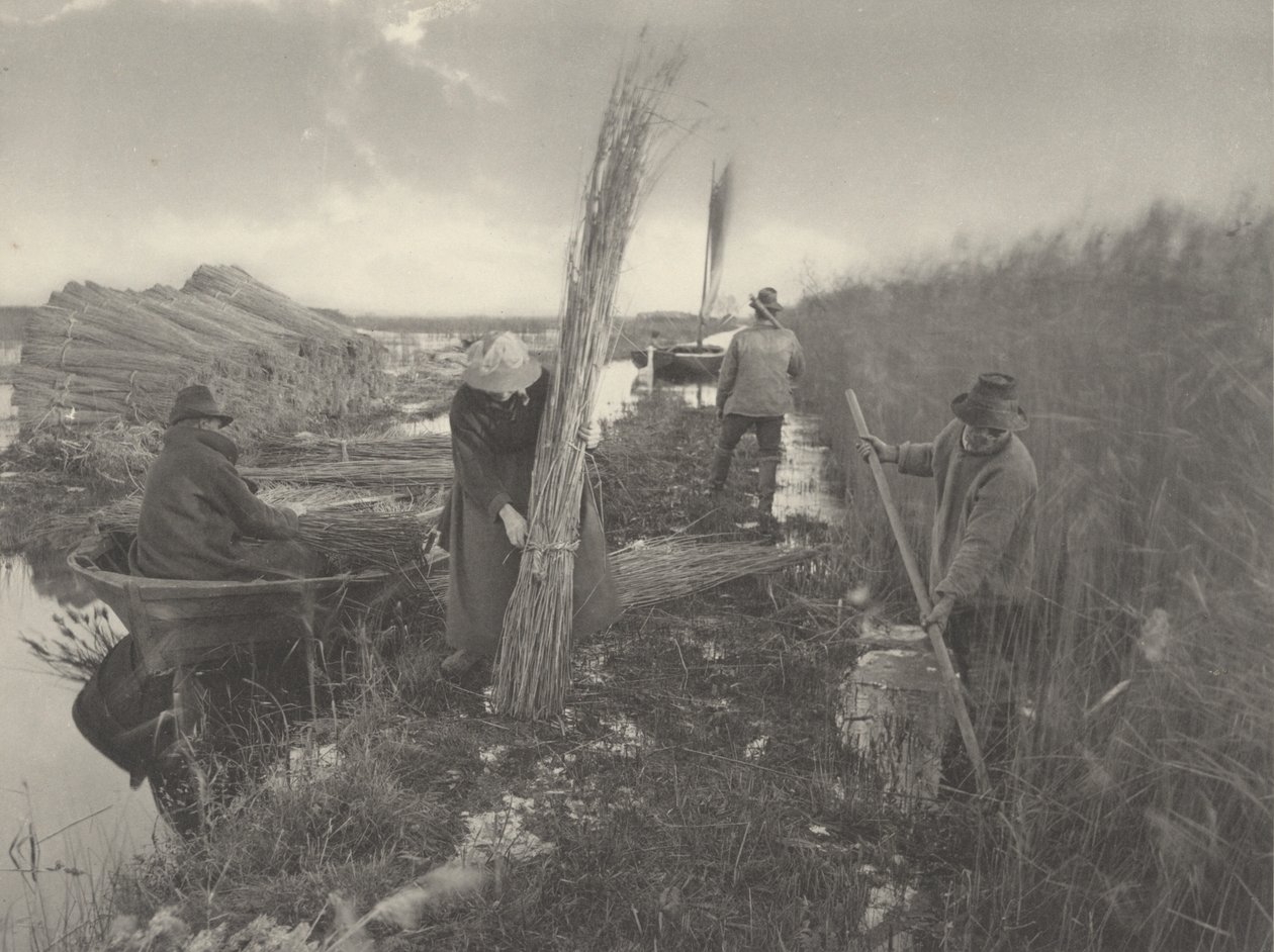 Tijdens de rietoogst,1886 (foto) door Thomas Frederick Goodall