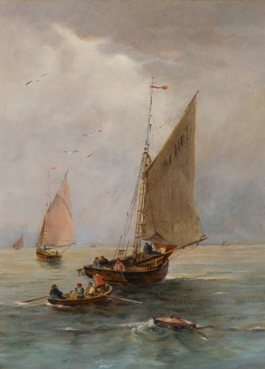 Schip 