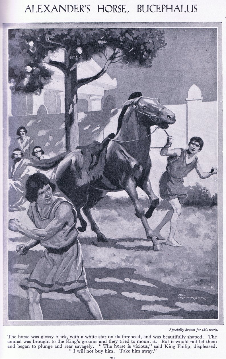 Alexanders paard, Bucephalus: het paard was glanzend zwart met een witte ster op zijn voorhoofd, ca 1950 (litho) door Thomas Heath Robinson