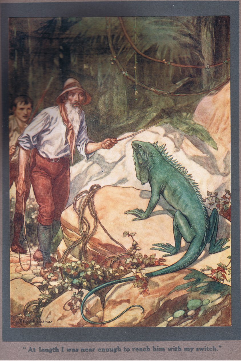 Uiteindelijk was ik dichtbij genoeg om hem te bereiken met mijn schakelaar (kleurenlitho) door Thomas Heath Robinson