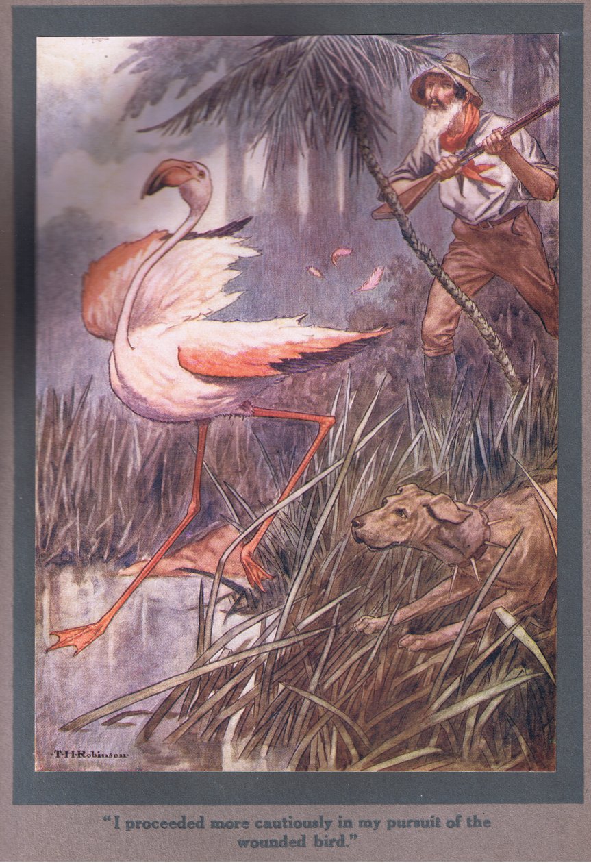 Ik ging voorzichtiger te werk in mijn achtervolging van de gewonde vogel (kleurenlitho) door Thomas Heath Robinson