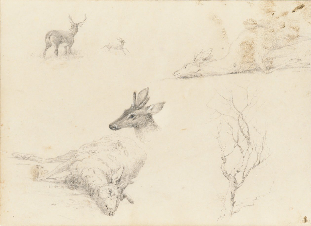 Schetsboek van landschap- en dieronderwerpen, 1860-64 door Thomas Hewes Hinckley