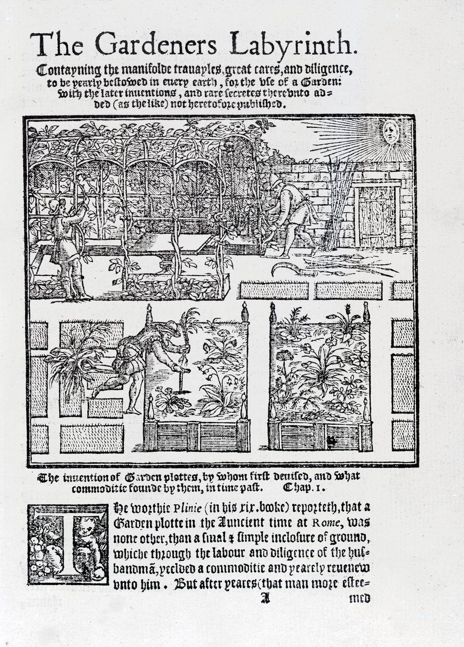 Prieel gebouwd als schaduw tegen de zon en planten in verhoogde bedden, uit The Gardeners Labyrinth, 1577 door Thomas Hill
