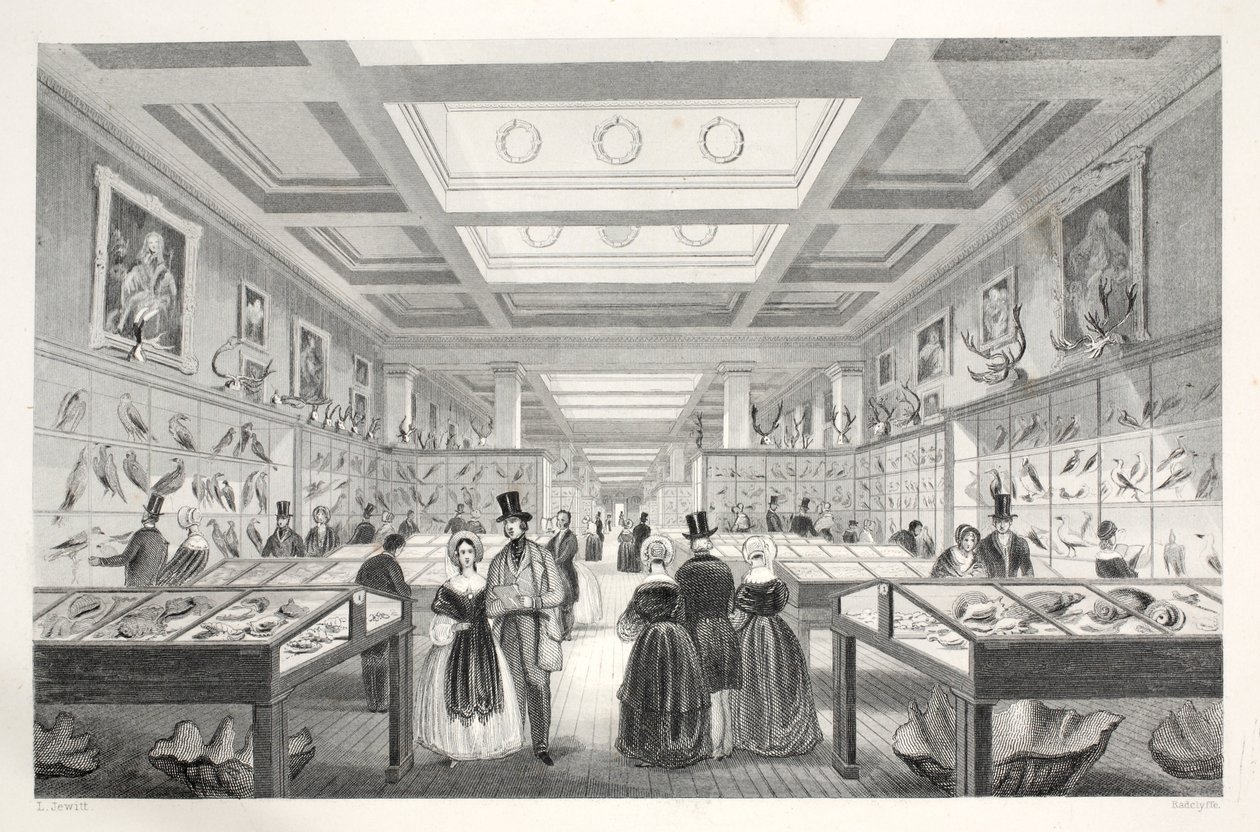 British Museum, Zoologische Galerij, uit 