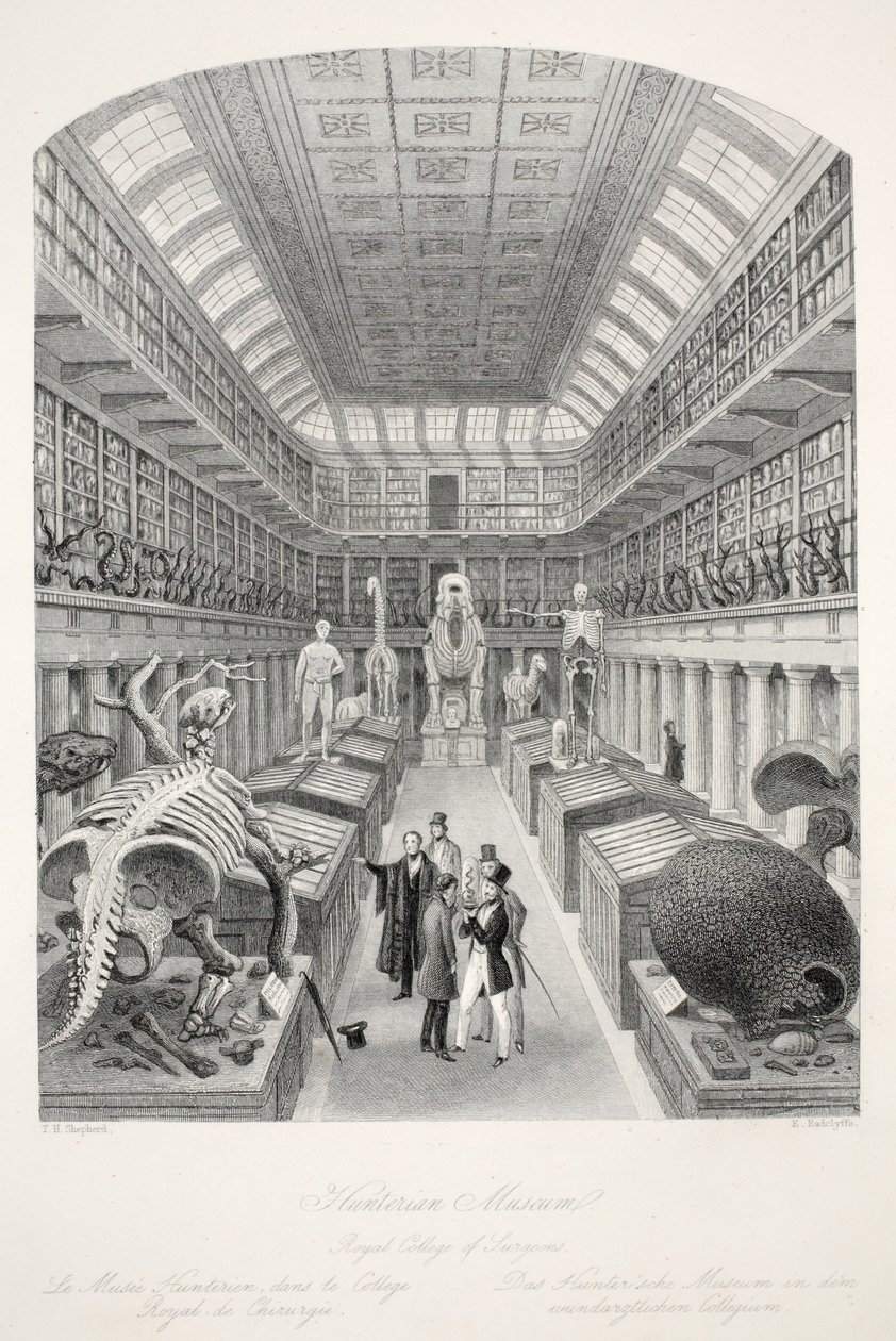 Hunterian Museum, Royal College of Surgeons, uit 