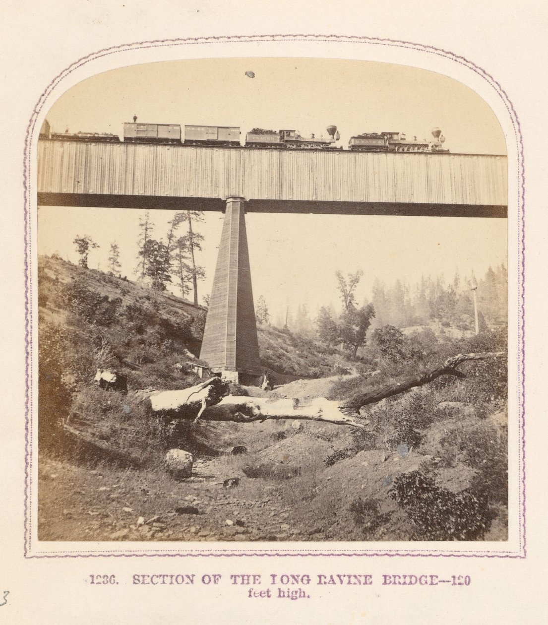 Gedeelte van de Long Ravine Bridge door Thomas Houseworth