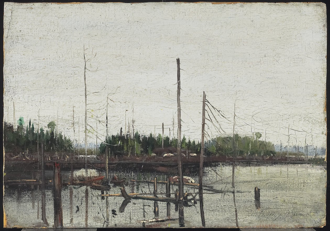 Verdronken Land door Tom Thomson