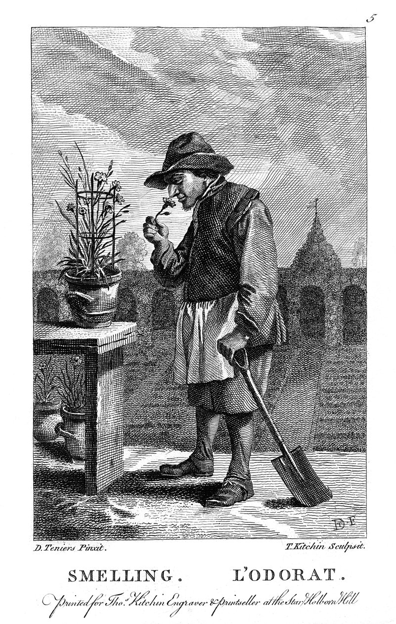 Tuinman die aan een anjer of roze Dianthus ruikt, ca. 1750 door Thomas Kitchin