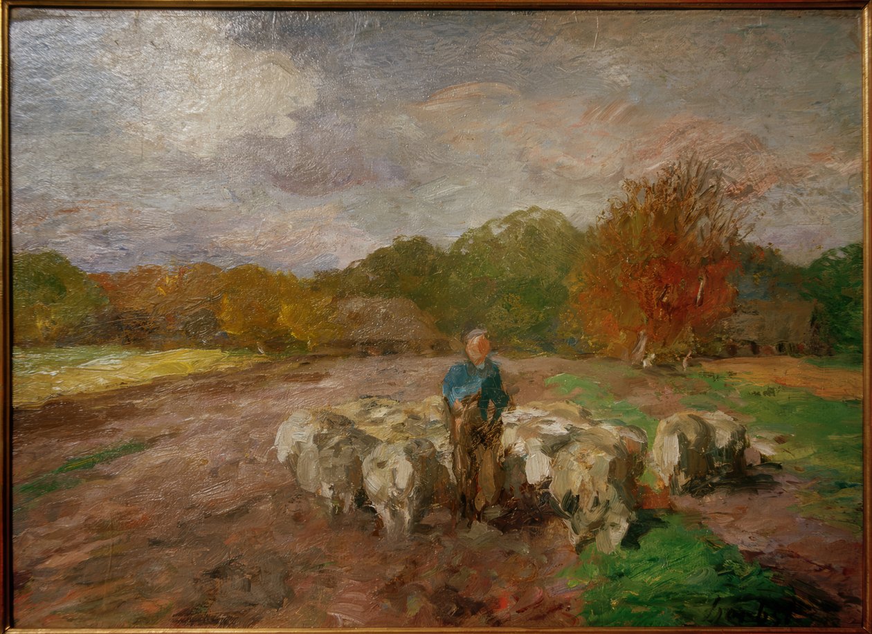 Schapenkudde in zonlicht door Thomas Ludwig Herbst