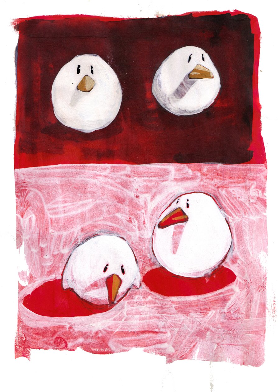Vogels in zwart en wit op rood door Thomas MacGregor