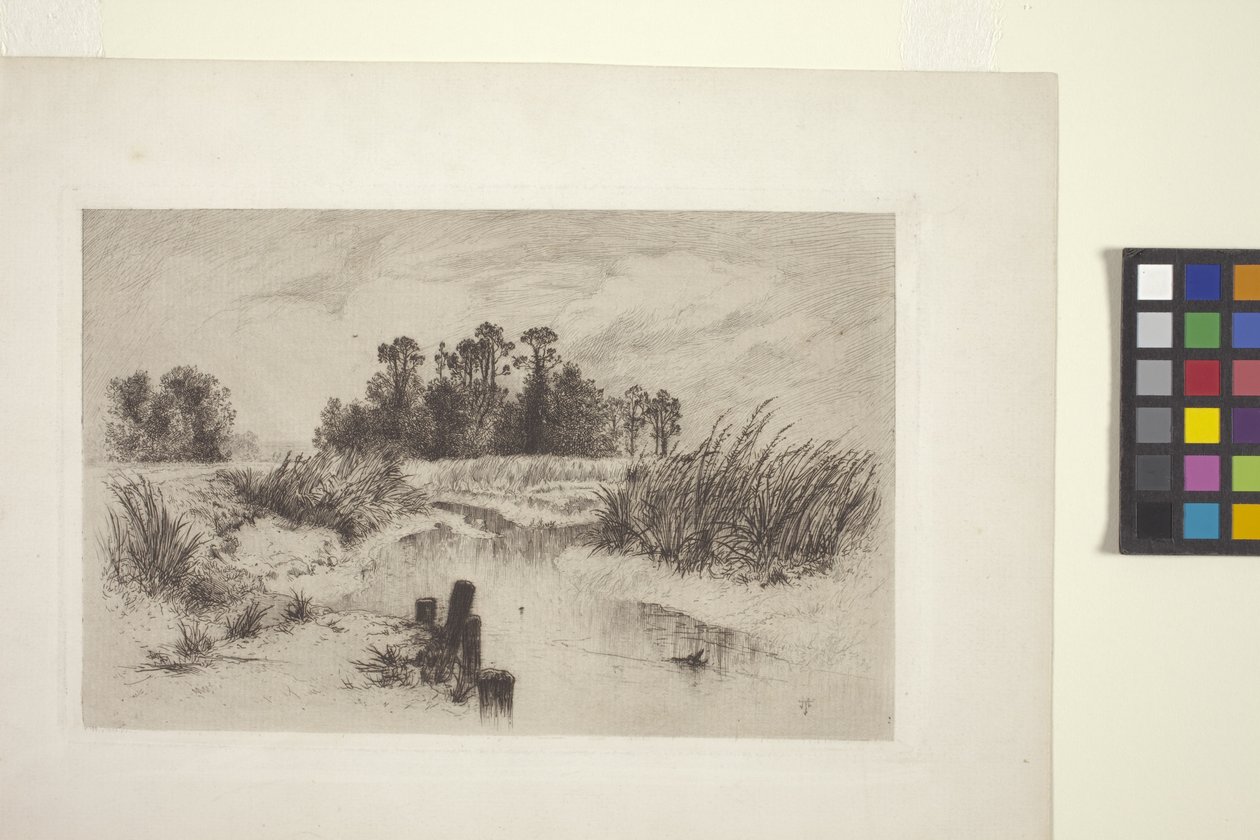 Moerassig landschap met stroom door Thomas Moran