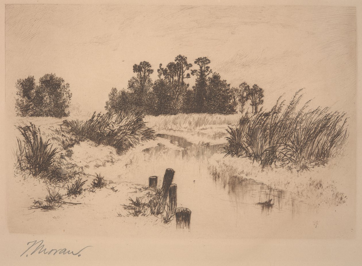 Passaic Meadows (In de Newark Meadows) door Thomas Moran