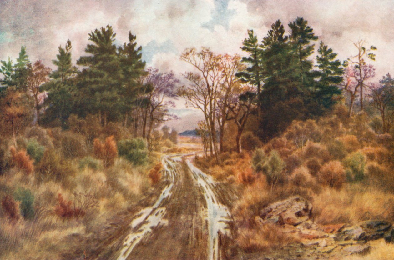 Weg bij de baai van Fundy, herfst (kleurenlitho) door Thomas Mower Martin