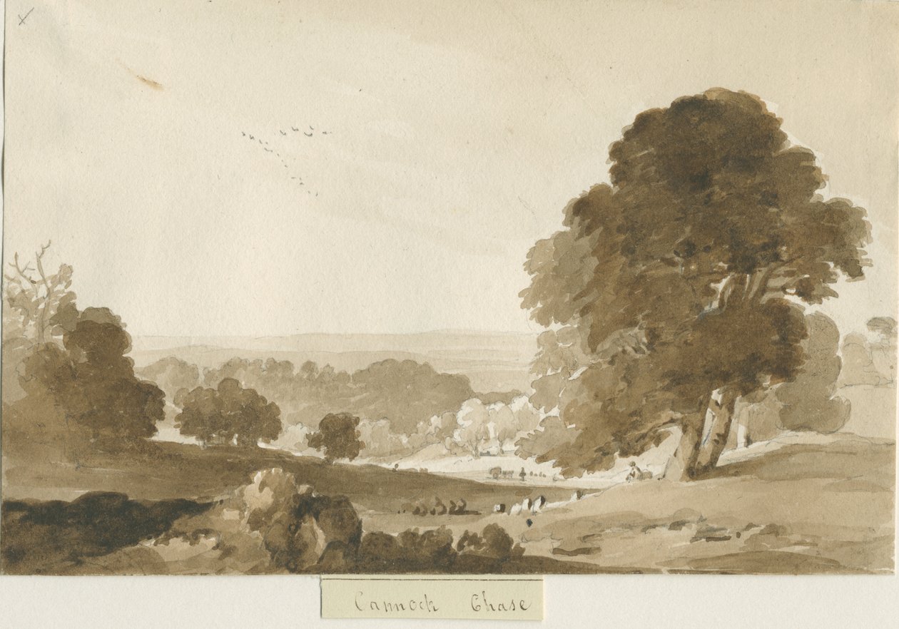 Cannock Chase door Thomas Peploe Wood