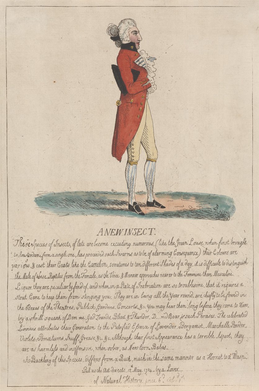 Een nieuw insect door Thomas Rowlandson