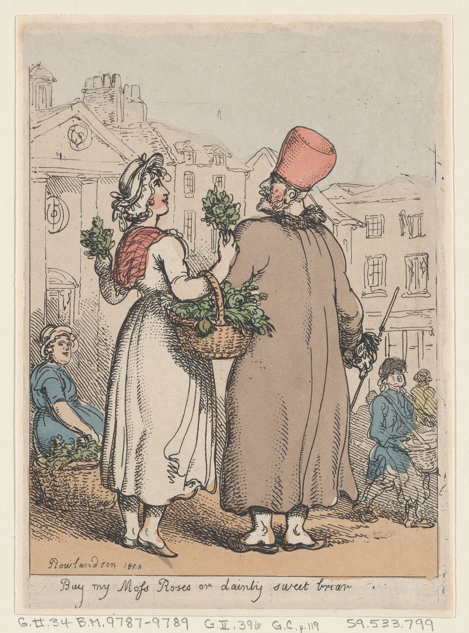 Koop mijn mosrozen, of sierlijke zoete brem door Thomas Rowlandson