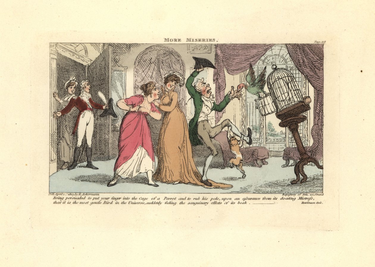 Man aangevallen door een papegaai en een kat in een salon door Thomas Rowlandson