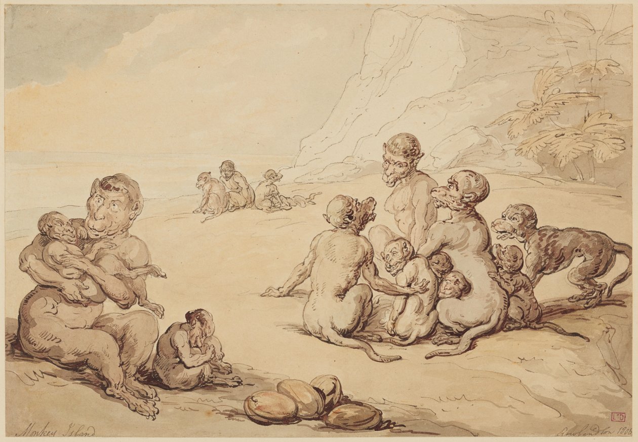 Apeneiland door Thomas Rowlandson