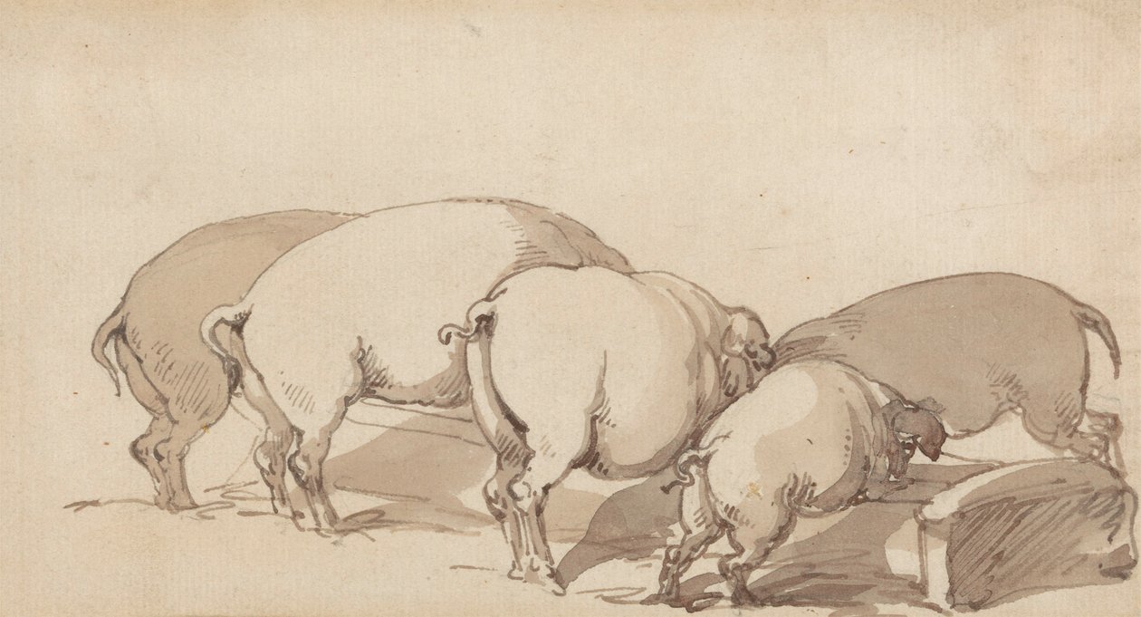 Varkens bij een Voederbak door Thomas Rowlandson