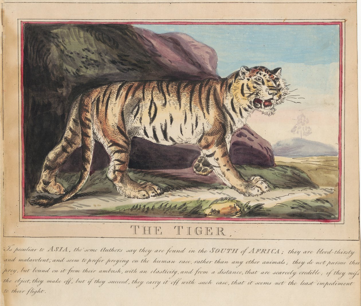 Set van acht met titelpagina. ‘Buitenlandse en inheemse dieren.’ 5. De wolf door Thomas Rowlandson