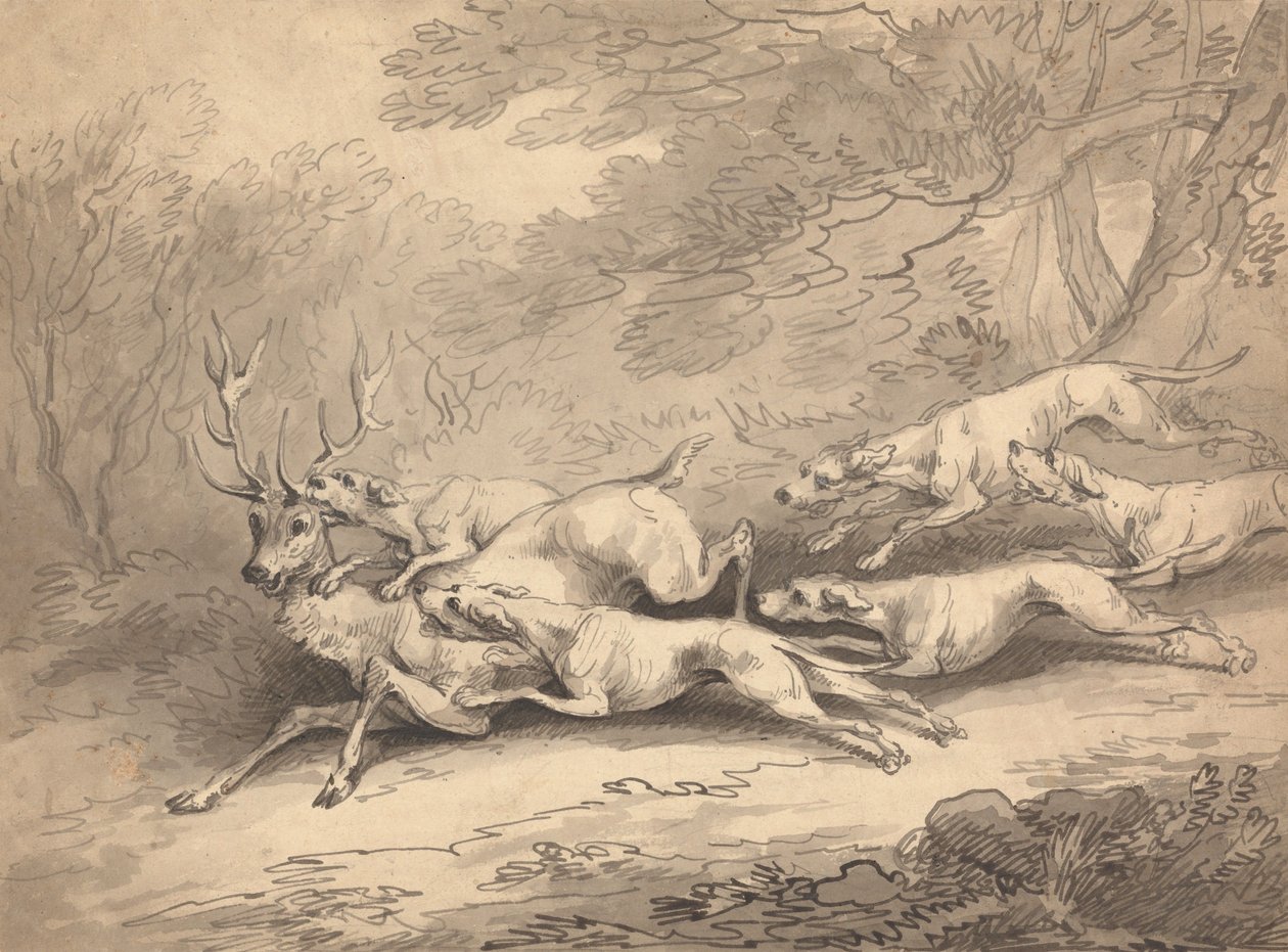Hert neergeschoten door een roedel honden door Thomas Rowlandson