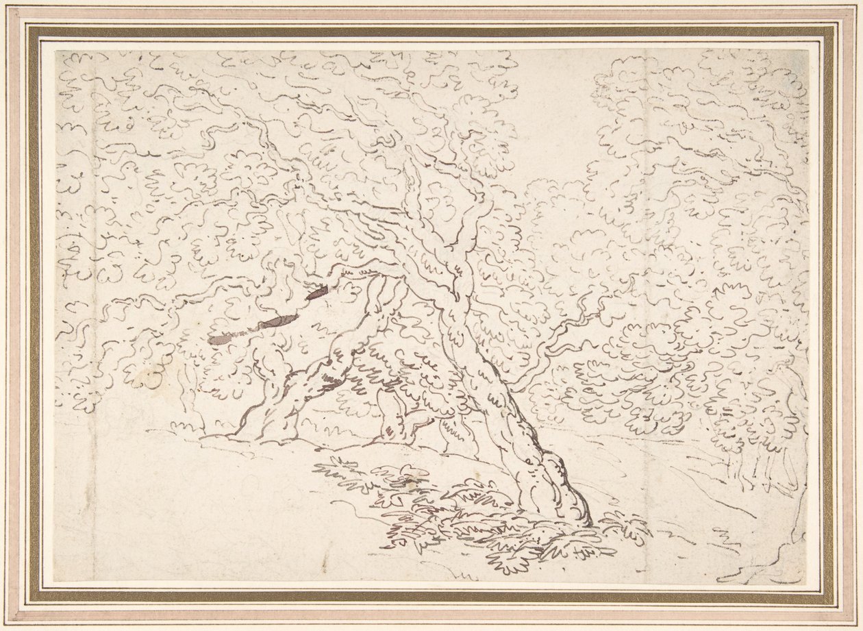 Onderzoek naar bomen door Thomas Rowlandson
